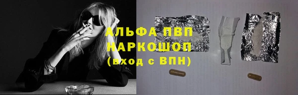 гидра Горняк