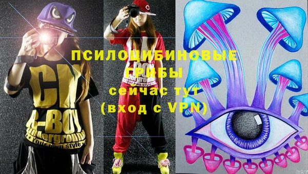 молекула духа Армянск