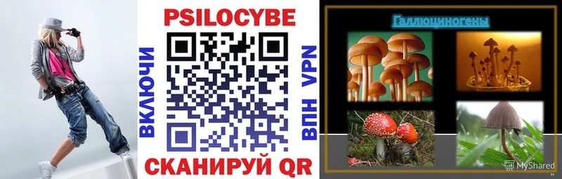 сайты даркнета какой сайт  Александровск  Галлюциногенные грибы GOLDEN TEACHER 