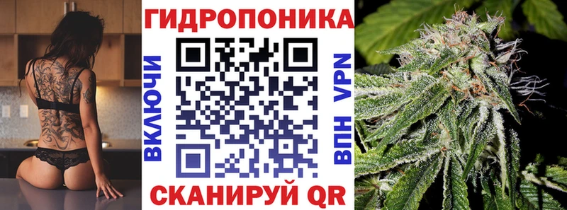 гидра ССЫЛКА  Александровск  МАРИХУАНА LSD WEED 